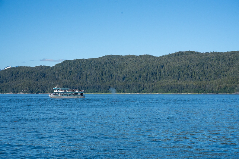 jul2026_alaska_whales_0004.jpg
